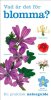 Vad �r det f�r blomma?