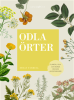 Odla �rter