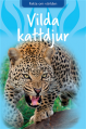  Vilda kattdjur 