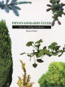 Prydnadsbarrvxter