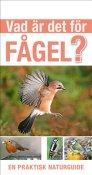 Vilken fgel?