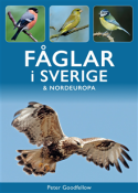 F�glar i Sverige