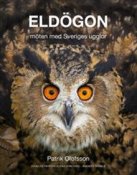 Eldgon
