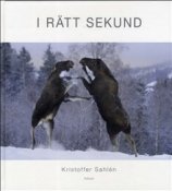 Rtt sekund