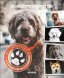 V�lj r�tt hund