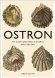 Ostron