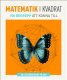Matematik i kvadrat