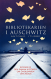  Auschwitz 
