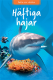  Hftiga hajar 
