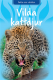  Vilda kattdjur 