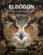 Eldgon